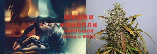 соль ск Пестово