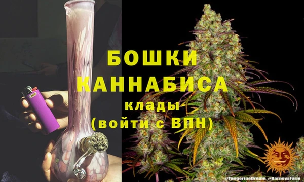 спайс Осинники