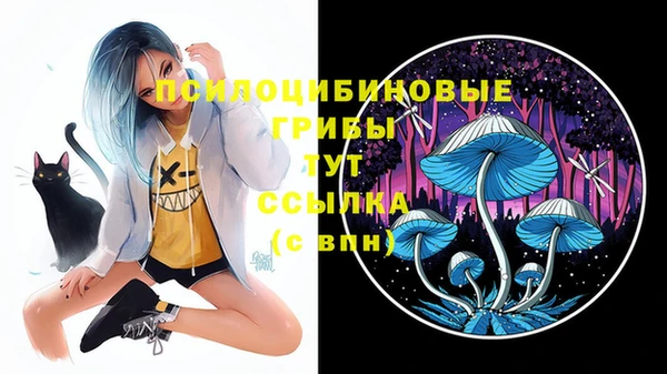 спайс Осинники