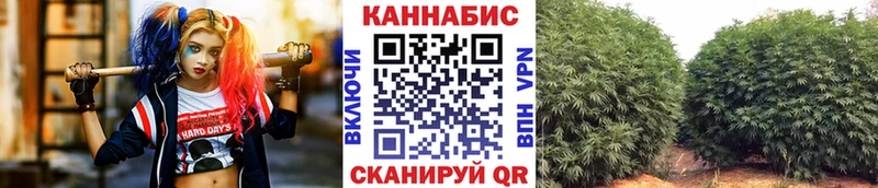 omg tor Боготол Канабис ГИДРОПОН магазин